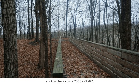 Wooden Pathway Through Bare Autumn Trees in Wisconsin Forest - Powered by Shutterstock