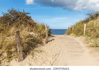 Wooden pathway through dunes to the beach of the Baltic Sea near Heiligenhafen, Schleswig-Holstein, Germany. With beachgrass, seabuckthorn and narrow-leaved ragwort on the dunes. - Powered by Shutterstock