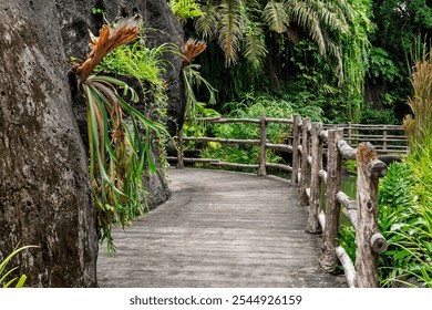 A wooden pathway through lush tropical forest with plants and vines along rocky walls - Powered by Shutterstock