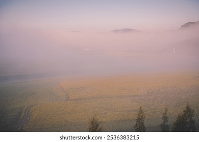 Wooden pathways and canola blossoming fields during the sunrise in a dense fog, Luoping, China, Yunnan, dramatic image with copy space for text - Powered by Shutterstock