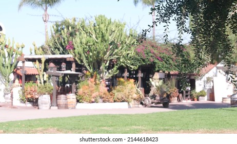 Wooden patio or terrace in mexican rural homestead garden. Succulent plants in provincial village, countryside rustic ranch. Country house in California or Mexico in greenery, tall cacti or big cactus