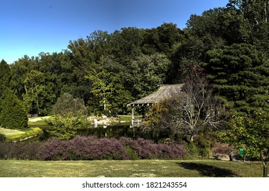 Wooden Pavillion On The Shore Of A Rural Pond