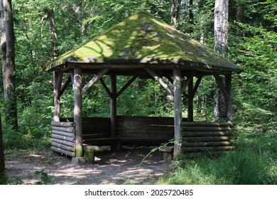 Wooden Pavillion In Peacefull Forest