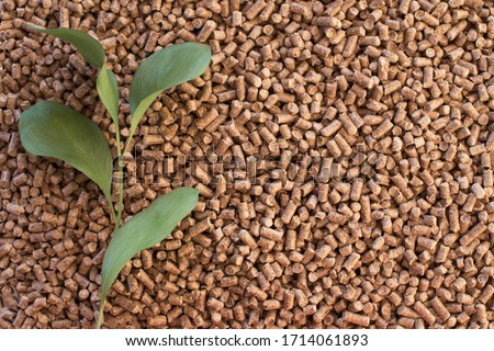 Wooden pellets background, pattern. Close up natural wood pellet with green leaves. Ecological heating, renewable energy Biofuels. Top view. Flat lay ecological fuel for solid fuel boilers.