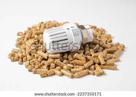 Wooden Pellets with Thermostat. Thermostatic Valve Head Isolated on White Background. Renewable Source of Heating. Biofuel. Ecologic Fuel made from Biomass. The Alternative Energy Source. Gas Crisis.