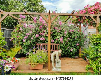 A Wooden Pergola In An English Garden During The Summer With A Beautiful Climbing  Flowers.