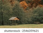 Wooden picnic shelter in autumnal forest. Peaceful nature scene perfect for relaxation or outdoor activities. Tranquil setting with fall foliage. Romania. Carpathian Mountains. Transylvania