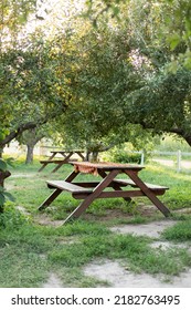Wooden picnic table with benches on beautiful grass lawn in quiet place. Beautiful picnic area with wooden table in summer garden. Bench. Resting place on park. Picnic place in Orchard at backyard. 
