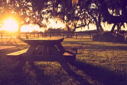 Wooden Picnic Table In Field With Trees At Sunset Sunrise Golden Hour Looking Peaceful Serene Meditative Warm Relaxing Restful With A Retro Vintage Cross Processed Filter