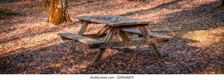 Wooden Picnic Table On A Fall Day