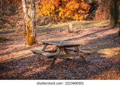 Wooden Picnic Table On A Fall Day