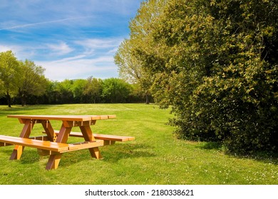 Wooden picnic table on a green meadow of a public park with trees and recreation areas for leisure activities