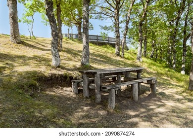 Wooden picnic table and picnic place in the forest by of Pollino national park on sunny day, a wide natural reserve in Basilicata and Calabria, Italy
