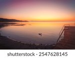 Wooden pier and a ladder on Lake Trasimeno and a swan at sunset. Torricella, Magione, province of Perugia, Umbria region, Italy