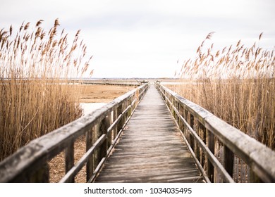 A wooden pier in Long Island, New York at Sunset. - Powered by Shutterstock - Get 15% off with code: PIKWIZARD15