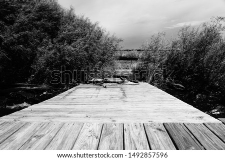 Similar – Foto Bild Steg Seeufer Bucht Stein