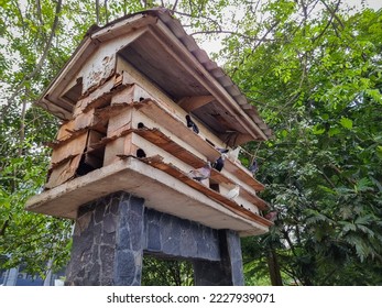 Wooden pigeon house with pigeons in the garden. Green trees in the background. - Shutterstock ID 2227939071