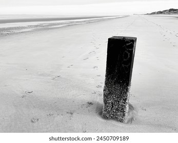 Wooden pile at low tide with beach - Powered by Shutterstock