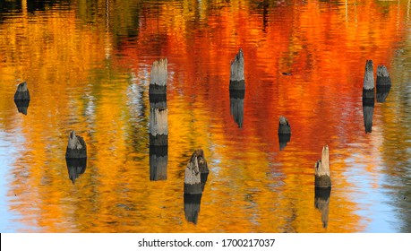 Wooden Pilings Sticking Out Of The Saginaw River In Bay City, MI.