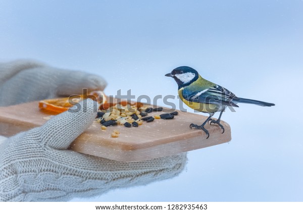 Wooden Plank Seeds Nuts Caring Hands Stock Photo 1282935463 | Shutterstock