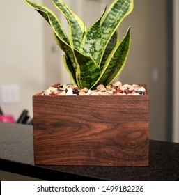 Wooden Planter Box For Succulents