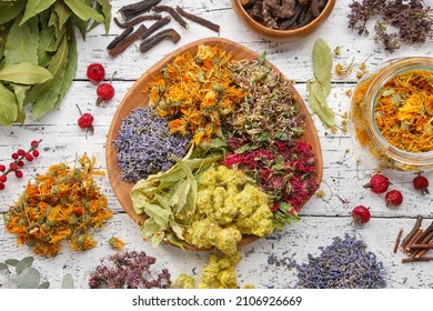 Wooden plate of medicinal herbs. Healing plants, roots, berries, ingredients for making of herbal medicine drugs, tea or infusion. Top view, flat lay. Alternative and herbal medicine concept. - Shutterstock ID 2106926669
