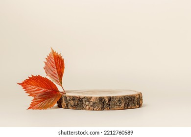 Wooden podium with autumn red leaves, minimal aesthetic background for product presentation
