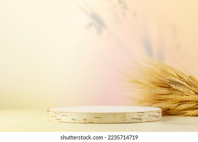 Wooden podium with bouquet of rye and wheat. Empty product display for presentation pastries or bakery on light gradient background with shadows. Scene stage showcase for product, promotion sale - Shutterstock ID 2235714719