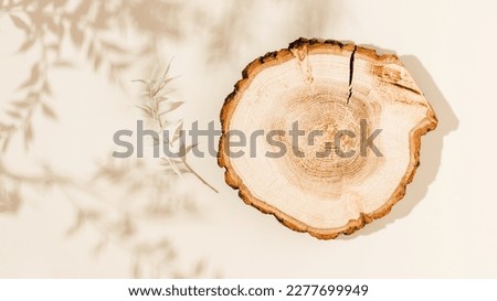 Wooden podium top view with leaves shadows on beige background. Showcase for product presentation, flat lay, banner size