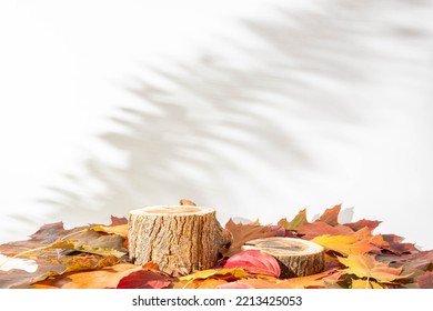 Wooden podiums with autumn leaves on an white background. Still life for the presentation of products. layout for natural cosmetics. Palm shadows, copy space  - Powered by Shutterstock