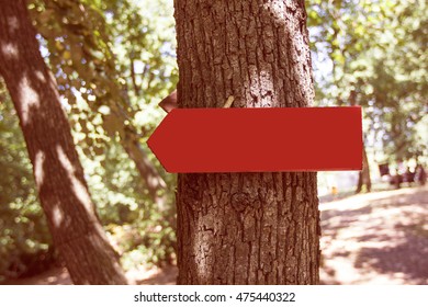 Wooden pointer on the tree at forest.