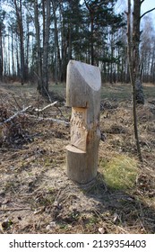 A wooden pole marking a section of the forest