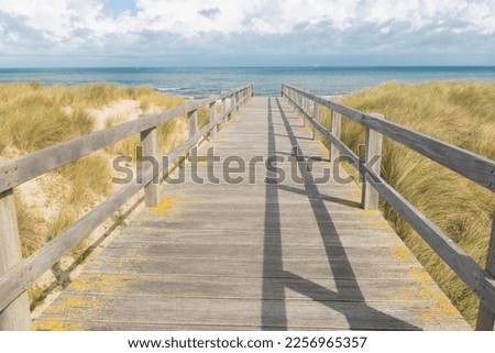 wooden pontoon giving access to the sea and summer holidays 