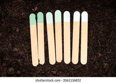 Wooden Popsicle Garden Markers Set