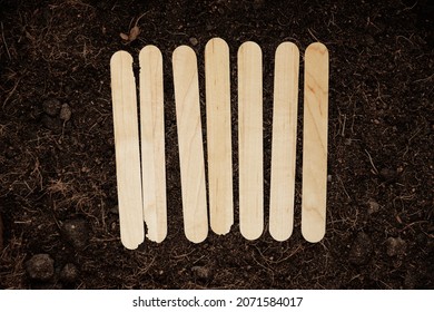 Wooden Popsicle Garden Markers Set On Soil