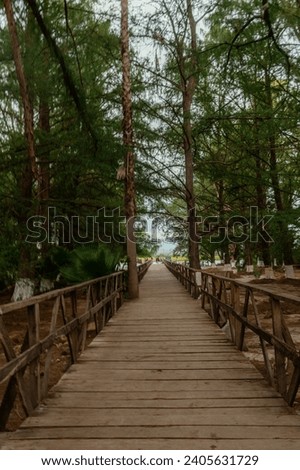 Wooden port to a lagoon surrounded by trees