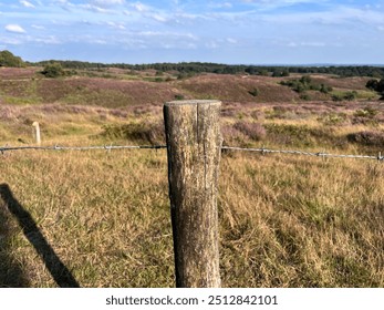 Wooden Post and Barbed Wire Fence in Heather-Covered Landscape Veluwezoom National Park  - Powered by Shutterstock