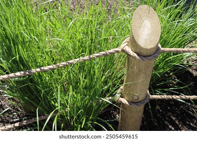 wooden post with brown rustic rope fence in summer outside with green grass and sunlight brightly lit outdoor border - Powered by Shutterstock