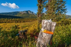 A Wooden Post Marking A Corner Of A Mineral Claim In Northern British Columbia