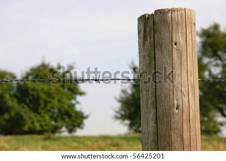Wooden posts with barbed wire