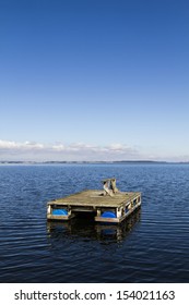 Wooden Raft On Water In Denmark