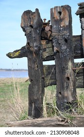 Wooden Remains At Purton Ship Graveyard