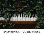 Wooden retro piano in green leaves.