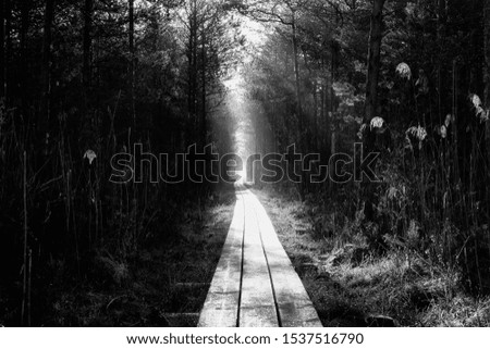 Similar – Man walking along the jetty