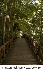 Wooden Rod And Green Environment