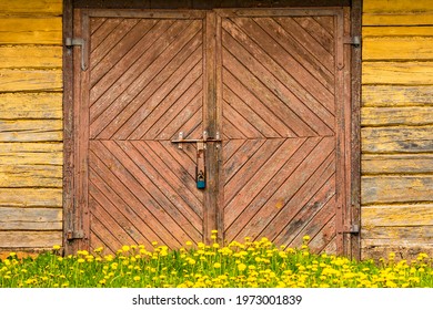 Wooden rural building facade with old cracked paint, door and dandelion flowers in the front 