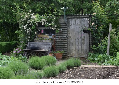 Wooden Rustic Garden Shed In A Garden Near Rutland Water In The UK