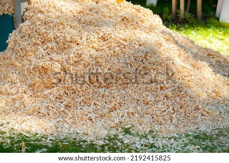 Wooden sawdust close up. Dry wood shavings background. Wood dust texture. Sawdust pattern closeup. Heap of sawdust is lying outdoor.