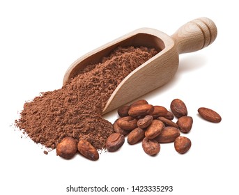 Wooden scoop with crude cocoa powder and raw beans isoladed on white background. Package design element with clipping path