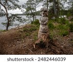 Wooden sculptures on a nature reserve